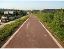 Pista ciclabile rettilinea in asfalto rosso con bordi bianchi, affiancata da erba alta e campi, che si estende verso l’orizzonte. Sullo sfondo si vedono edifici bassi, colline alberate e linee elettriche lungo il percorso.