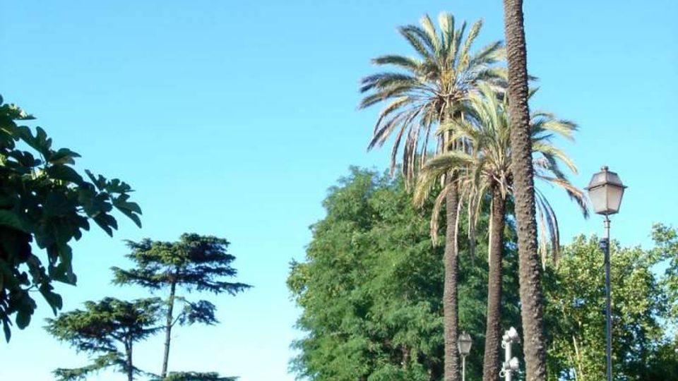 Viale alberato in un parco urbano con alte palme sul lato destro, lampioni e aiuole fiorite, affiancato da un muretto in mattoni e una ringhiera. In fondo si vede una piccola passerella tra la vegetazione sotto un cielo sereno.
