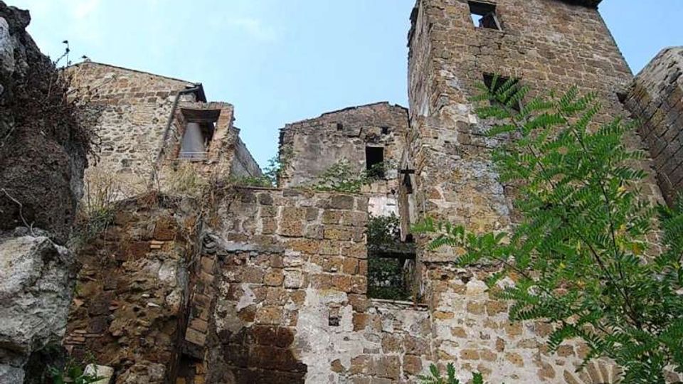 Ruderi di edifici in pietra su un pendio roccioso, con mura parzialmente crollate, finestre vuote e una torre squadrata con tetto in coppi. In primo piano si vedono vegetazione e rami che crescono accanto alle strutture, sotto un cielo azzurro.