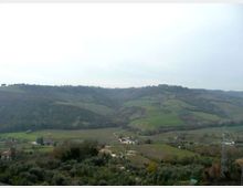 Panorama di campagna collinare con campi agricoli a mosaico e filari di alberi, attraversati da una strada bianca che serpeggia nella valle. In primo piano si vedono uliveti e alcune case rurali sparse, con colline boscose sullo sfondo sotto un cielo coperto.