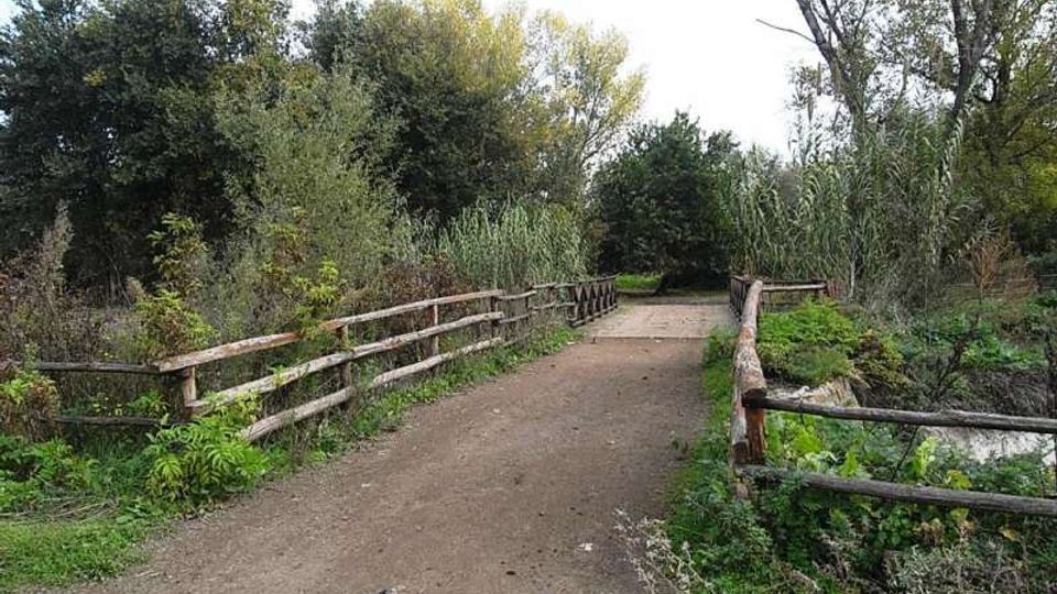 560-9356cc2c11ad3303bba493524b80491ajpg