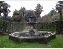 290-2a60258222e67d835fc4e1ae46756d5bjpg