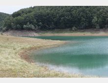 49499-photo-3-jpgjpg