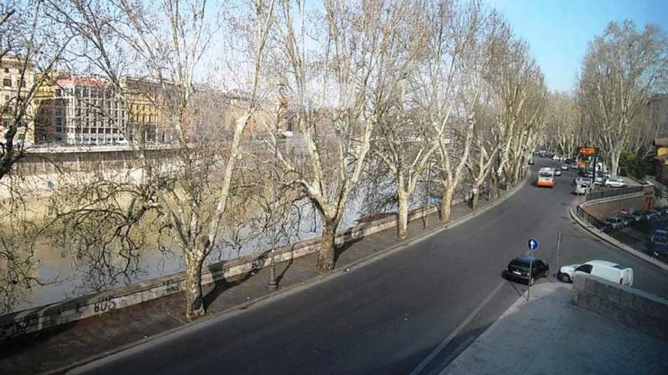 Lungotevere con strada curva affiancata da alti alberi spogli e marciapiede lungo il fiume, con muro di contenimento in muratura. Sullo sfondo si vedono edifici urbani e veicoli in transito sotto un cielo sereno.