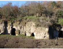 Parete rocciosa chiara con diverse aperture ad arco simili a grotte scavate, alla base di una scarpata. Sopra la roccia si vede una fascia erbosa e un bosco di alberi spogli, con vegetazione bassa in primo piano.
