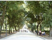 Viale pedonale in un parco con ampia strada centrale, fiancheggiata da alberi alti che formano una galleria verde. Lungo i lati si vedono panchine e lampioni, con vegetazione e aree ombreggiate.