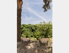 Due sedie a sdraio su un’area di terreno con ghiaia e aiuole, affacciate su una valle boscosa di alberi verdi. In primo piano un grande tronco d’albero e rami, con cielo azzurro leggermente velato sullo sfondo.