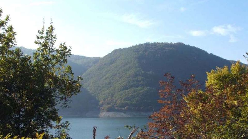 929-f20ffaf26772ebbad7eb58b52e07bd84jpg