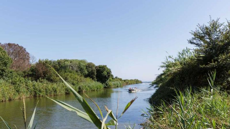 Canale d’acqua tranquillo fiancheggiato da canneti e vegetazione densa su entrambe le sponde, con cielo sereno sullo sfondo. Al centro del canale si vede una piccola imbarcazione in lontananza.
