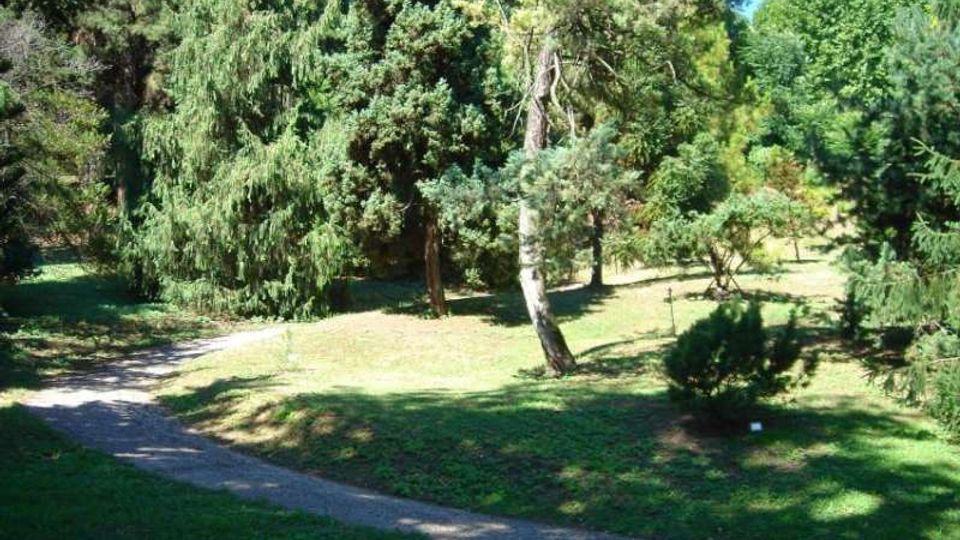Sentiero curvo in ghiaia che attraversa un parco con prato e alberi ad alto fusto, tra cui conifere e altre chiome dense. Area verde aperta con luce solare e zone d’ombra tra gli alberi.