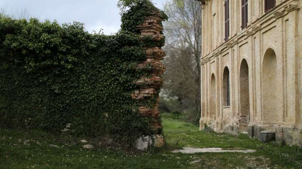 50767-photo-576a3263-jpgjpg