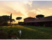 Giardino con ampio prato e piante in vaso, circondato da alti pini e cipressi, con una casa di campagna in muratura rossa e tetto in tegole sul lato destro. Sullo sfondo cielo al tramonto con nuvole illuminate.