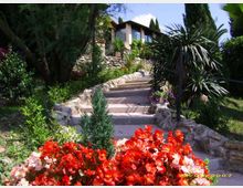 Sentiero con gradini in pietra che sale attraverso un giardino terrazzato ricco di vegetazione mediterranea, con aiuole di fiori rossi in primo piano. In cima si vede una casa con grandi finestre, circondata da muretti a secco e alberi.