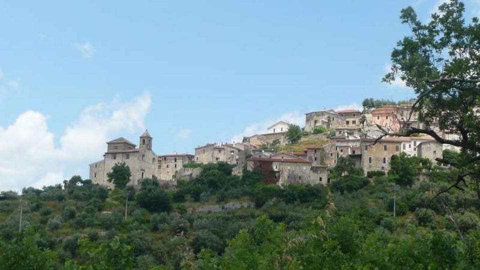 Panorama di un borgo collinare con case in pietra e una chiesa con campanile, disposto a terrazze sul crinale. In primo piano si vede una distesa di vegetazione e alberi, con cielo azzurro sullo sfondo.