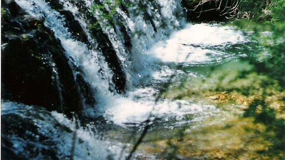 Piccola cascata su un ruscello che scorre su rocce scure, con acqua spumosa che cade in una pozza poco profonda. Intorno si vedono sponde erbose e vegetazione fitta con rami e alberi che ombreggiano la scena.
