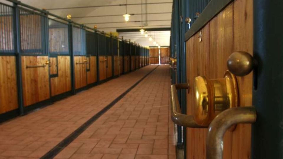 Corridoio interno di una scuderia con file di box per cavalli in legno e metallo su entrambi i lati, pavimento in piastrelle e luci a soffitto. In primo piano si vede la porta di un box con maniglia e accessori metallici.
