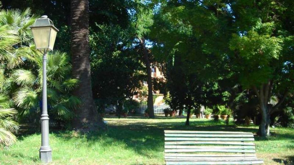 Parco urbano con prato e fitta vegetazione di alberi e palme, con un lampione in stile classico sul lato sinistro. In primo piano c’è una panchina di legno vicino a un sentiero chiaro, con un edificio parzialmente visibile sullo sfondo tra gli alberi.