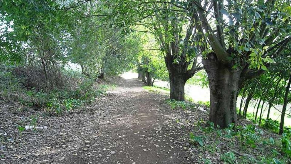 560-7ed0f9605533c3519d4dfa5a870d7243jpg