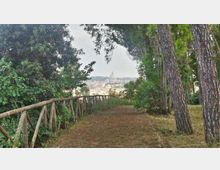 52107-photo-7d4ce4de74d04e1d46cae87d0054833b-jpgjpg