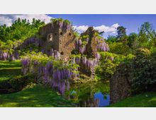 52201-photo-giardino-di-ninfa-design-lifestyle-jpgjpg