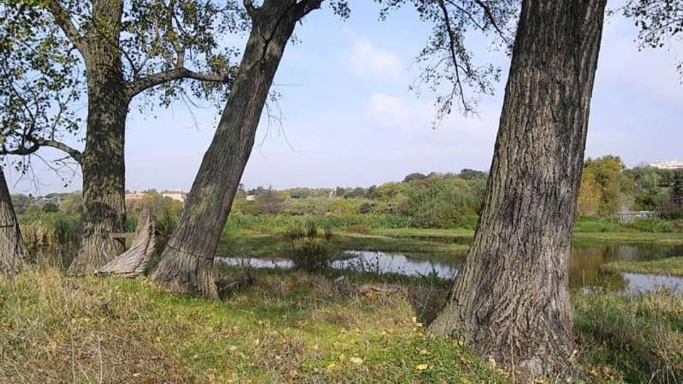 561-f68312086643deaec8e2cc74a4779287jpg