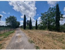 Stradina di campagna sterrata che attraversa un’area rurale, fiancheggiata da cipressi e alberi con recinzioni e campi ai lati. Sullo sfondo cielo azzurro con grandi nuvole bianche.