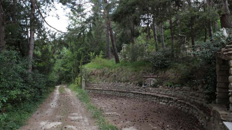 Strada sterrata in un’area boschiva con pini e vegetazione fitta ai lati. Sulla destra si vede un muro di contenimento in pietra curvo con un piccolo cartello e un ingresso in pietra.