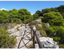 576-5c80fcd4721737100161f04c8f81c1cdjpg