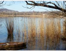 51997-photo-aprile-096-jpgjpg