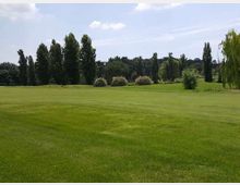 Ampio prato verde e curato in un parco, con alberi alti e cespugli sullo sfondo. Cielo parzialmente nuvoloso sopra una linea di vegetazione che delimita l’area aperta.