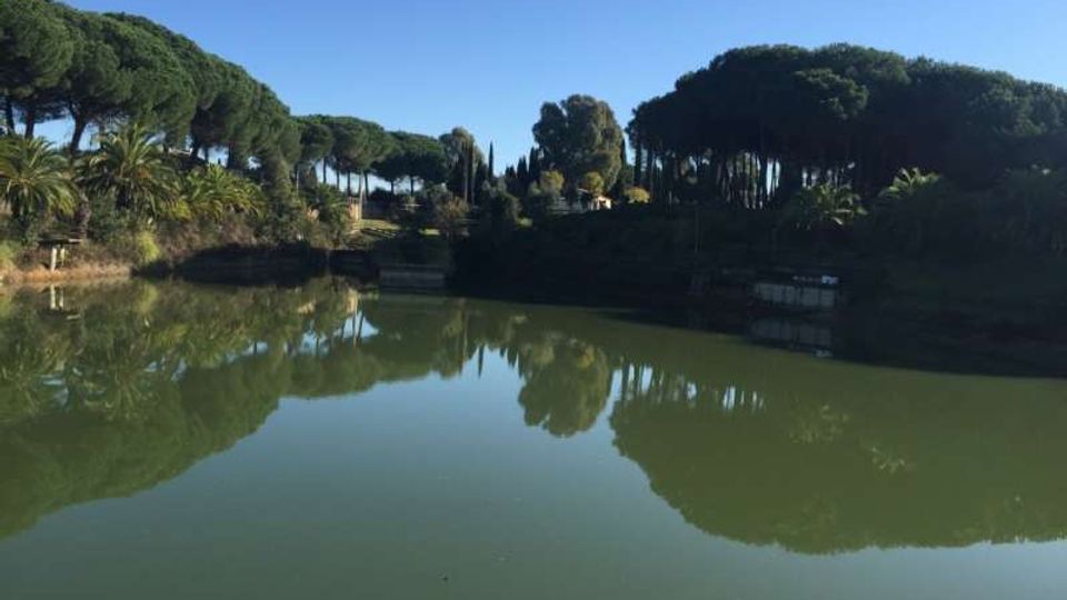 Lago o stagno con acqua verde calma che riflette il cielo e la vegetazione circostante. Sulle sponde si vedono pini ad ombrello, cipressi e palme su un leggero pendio, in un contesto di parco naturale.