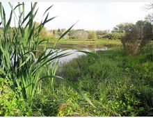 561-f65155ceca6fe5ef0606dccbe44987b1jpg