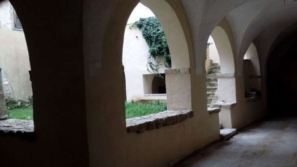 56113-photo-img-20180126-121231-jpgjpg