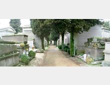 Viale di un cimitero con strada sterrata centrale, fiancheggiata da alti cipressi e tombe e cappelle in muratura ai lati. Ai bordi si vedono lapidi, vasi di fiori e piccole aiuole curate.