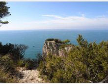 576-69a13a81fb9cf2c330a6e14e24bce091jpg