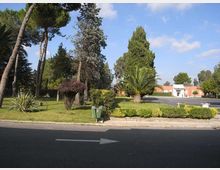 Area verde lungo una strada con prato curato, siepi basse e alberi alti tra cui pini e palme. Sullo sfondo si vedono un parcheggio e alcuni edifici bassi in mattoni con un ingresso bianco.