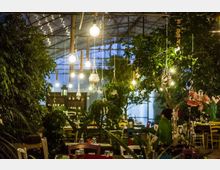 Interno di un ristorante in stile serra, con tetto trasparente e numerose luci a sospensione. La sala è circondata da vegetazione rigogliosa, con tavoli e sedie tra piante e alberelli e grandi vetrate sullo sfondo.