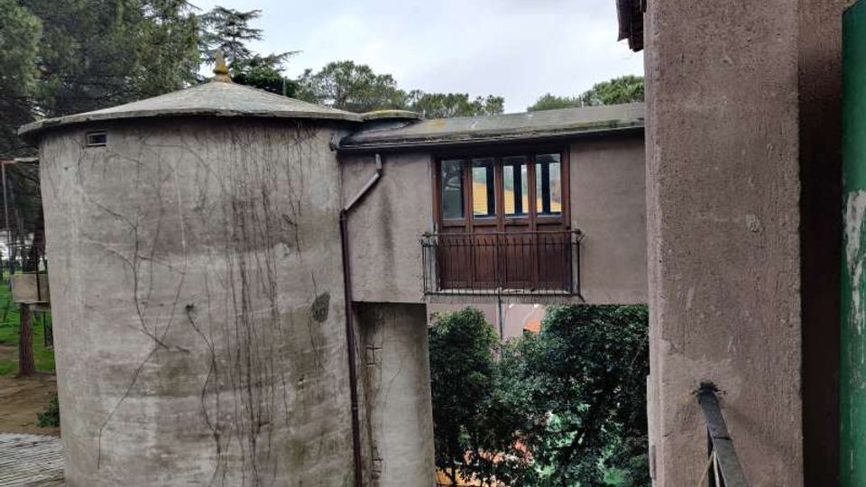 58077-photo-img-20210129-125305-jpgjpg