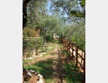 Sentiero in pietra e terra che attraversa un giardino rurale con ulivi e vegetazione bassa, fiancheggiato da una staccionata in legno a destra e muretti con rocce e lampioni a sinistra. Sullo sfondo si intravedono colline sotto un cielo sereno.