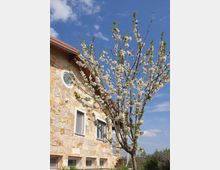 20210403-114608jpg_KOX