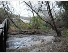 612-f75bc6496138000cd89698429c3f38f5jpg