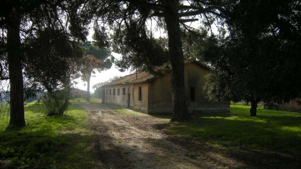 Strada sterrata che attraversa un’area erbosa alberata e conduce a un edificio rurale basso con tetto in tegole e piccole finestre. Grandi pini e altri alberi incorniciano la scena, con luce filtrata tra i rami e campi sullo sfondo.