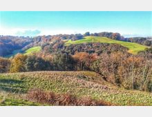 52053-photo-riserva-naturale-insugherata-jpgjpg