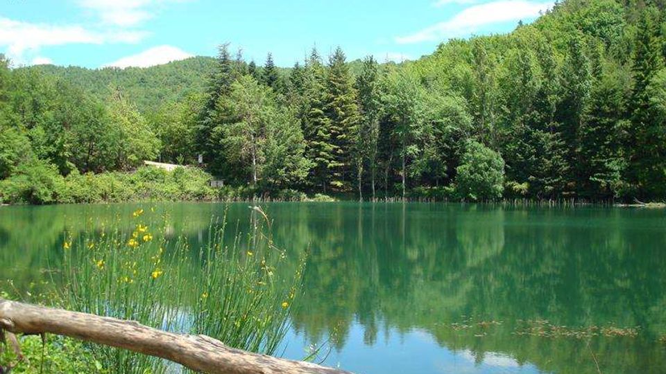 51900-photo-dsc06014-800x600-jpgjpg