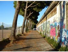 Vialetto asfaltato alberato con pini lungo il lato sinistro, affiancato a destra da un lungo edificio basso con pareti ricoperte di graffiti. A sinistra si vede una recinzione metallica che delimita un campo sportivo.
