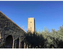 51756-photo-11-la-torre-del-fiscale-jpgjpg