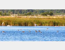 52086-photo-riserva-naturale-resize-1-jpgjpg