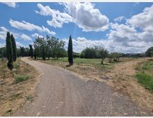 Strada sterrata che curva in un’area rurale, fiancheggiata da cipressi e alberi sparsi su campi erbosi e zone secche. Sullo sfondo si vede un cielo ampio con nuvole bianche e una linea di vegetazione e edifici lontani.