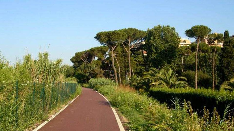 Pista ciclabile asfaltata color rosso che curva tra vegetazione alta e cespugli, con rete verde lungo il bordo sinistro. Sullo sfondo si vedono pini marittimi e palme sotto un cielo sereno, con edifici parzialmente visibili tra gli alberi.