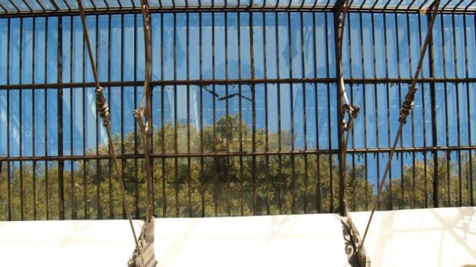 Tettoia in vetro e metallo con fitte barre verticali e tiranti decorativi, vista dal basso. Attraverso i pannelli trasparenti si intravedono il cielo blu e le cime degli alberi, sopra un muro ad arco chiaro.